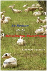 Le roman de la rvolution numrique