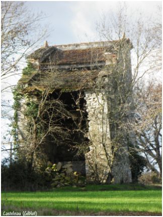 Pigeonnier pied de mulet  Castelnau-Montratier